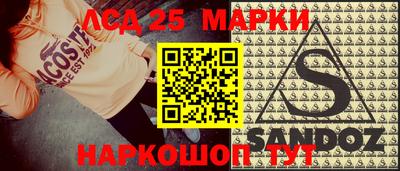 шишки Пенза