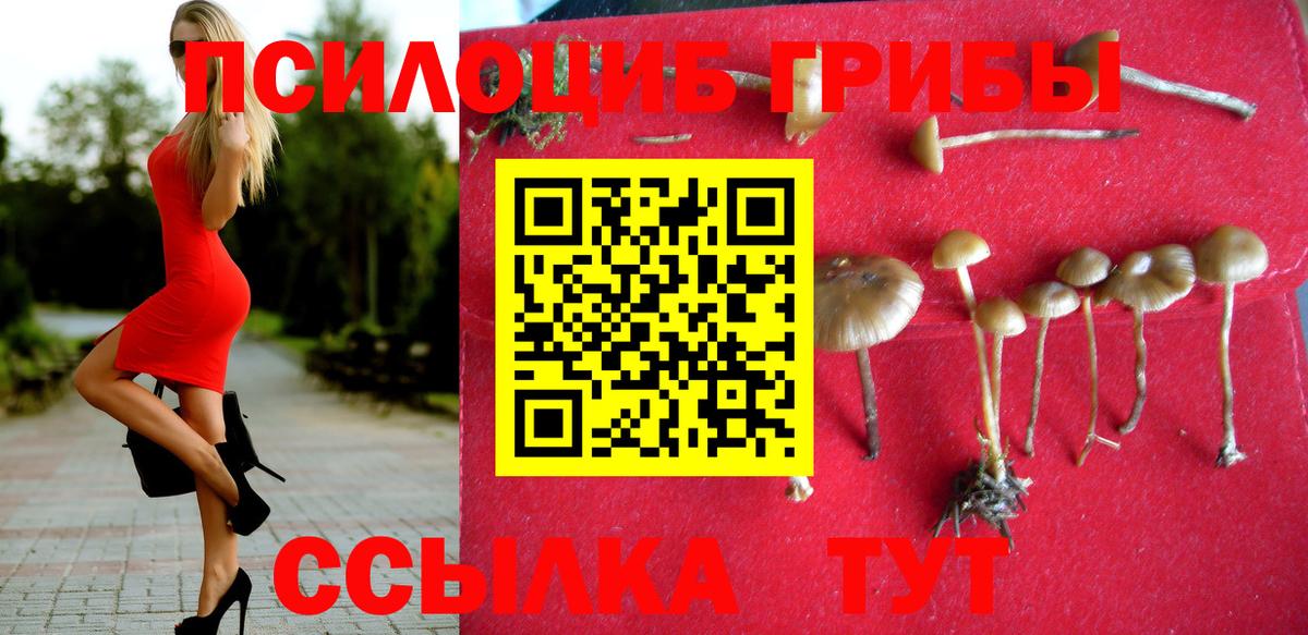 Псилоцибиновые грибы Magic Shrooms Тулун