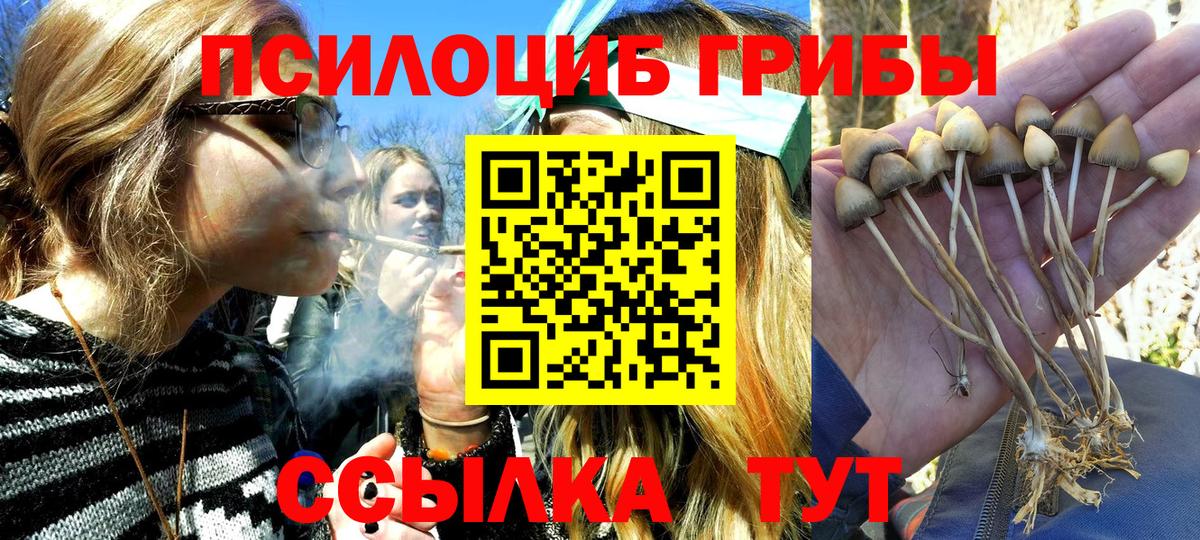 Галлюциногенные грибы Cubensis  Вход с VPN  Тулун  Псилоцибиновые грибы мухоморы 